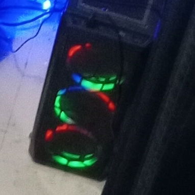 Chasy con fanes de colores - 2/2