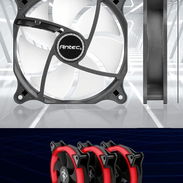 Fan Yeyian Thyphoon - Img 55904715