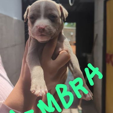 Si buscas calidad y compañía no dudes en llamar al 53818081 - Img 122615062