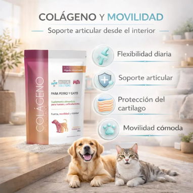 Colágeno para perros y gatos - Img 124847613