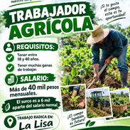 NECESITAMOS TRABAJADOR AGRICOLA!! - Img 57969583