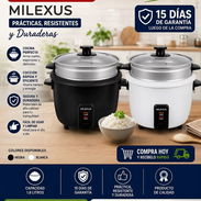 ARROCERA MILEXUS 1.8L - Img 57052144