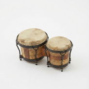 Bongos para niños - Img 56342556