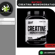 *Nutrex Creatina Monohydratada micronizada 1000gr 200 serv - Img 56479871