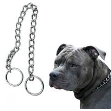 Artículos para mascotas - Img 122585049