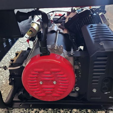 Planta eléctrica 8300w - 6/10