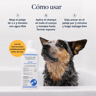 SHAMPOO contra PULGAS Y GARRAPATAS/ 16 onz - 3/3