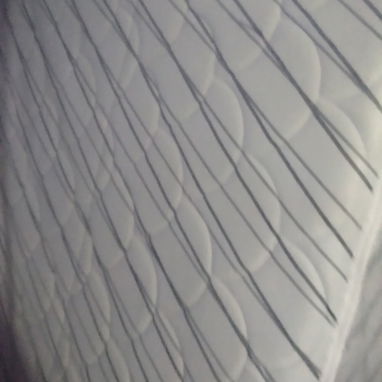 Konfort originales muebles flexconfort - Img 124350566