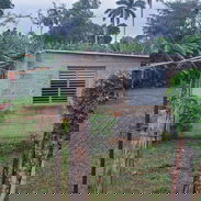 Se vende Terreno de 1825m² con casa de 1/4. Todo adentro. en La Habana - Img 50478569