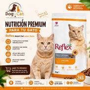 PIENSO IMPORTADO PARA GATOS 🐱. BOLSA 2 KG - Img 56049882