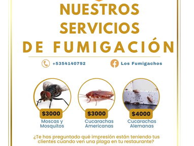 Fumigaciones para Restaurantes, Bares y Cafeterías.(Cucarachas, Moscas, Mosquitos) - Img main-image