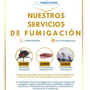 Fumigaciones para Restaurantes, Bares y Cafeterías.(Cucarachas, Moscas, Mosquitos) - Img 43253399