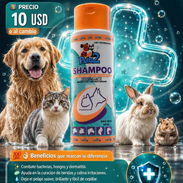 Shampoo 240ml de Clorhexidina - Img 54904692