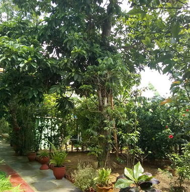Alquiler de habitaciones disponibles en Viñales con ofertas de excursiones.54026428 - Img 50758055