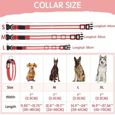 Collares Luminosos Led para perros, con bateria. Nuevos - Img 57866599