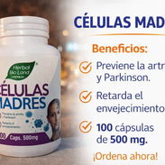 Células madre - Img 58286745