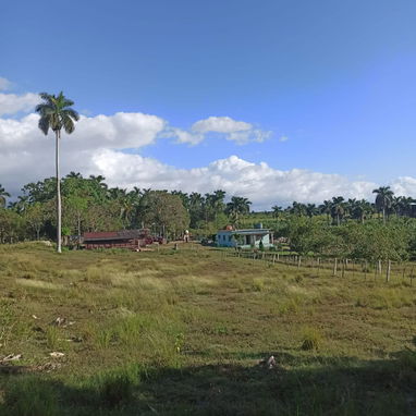Se vende finca en Bejucal 🌴 - Img 125764297