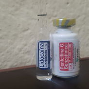 Penicilina G Benzatinica 2.4 - Img 55766812