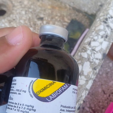 Medicamento para animales - Img 120919955