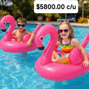Salvavidas cisne $5800 - Img 55819775