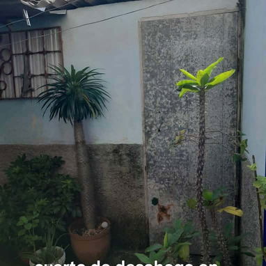 Se vende casa en peñas altas - Img 118343242