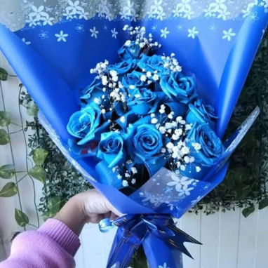 Flores - 2/10