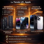 🍎✨𝐓𝐢𝐞𝐧𝐝𝐚 𝐔𝐥𝐢_𝐀𝐩𝐩𝐥𝐞✨🍏 - Img 55858771