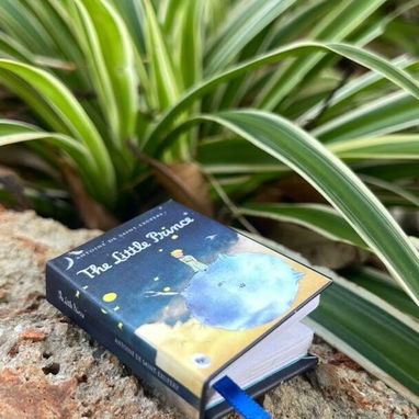 Libros por encargos - 7/10