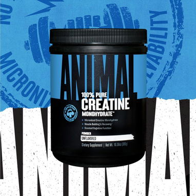 CREATINA MONOHIDRATADA ANIMAL POLVO - Img 123164364