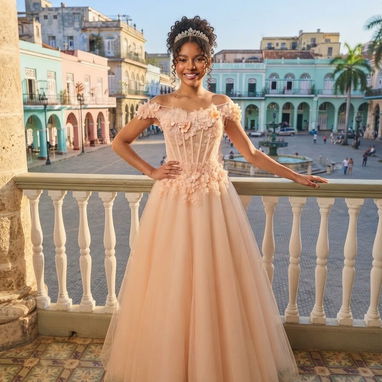 Alquiler de vestidos de novias y quinceañeras - 8/10