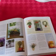 Venta libro fen chui - Img 56348768