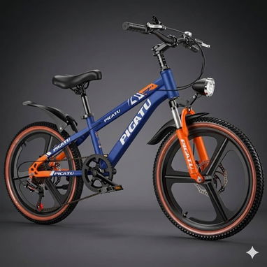 Bicicleta  24  pcfg - 2/4