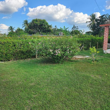 Se vende - Img 125555999