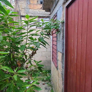 Venta o permuta de vivienda - Img 121277631