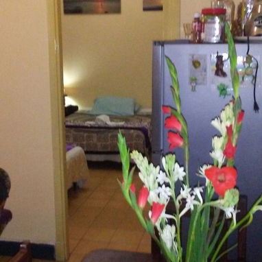 vendo apartamento con todo dentro en esquina de Reina y Lealtad en 15000 usd o 13000 euros. 52736484 - 6/7
