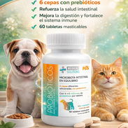 Probioticos para mascotas - Img 58263081