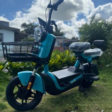 𝐏𝐀𝐓𝐈𝐍𝐄𝐓𝐀 eléctrica PROEFIX 🛵` Formas de pago 𝙐𝙎𝘿, 𝙀𝙐𝙍, 𝙕𝙀𝙇𝙇𝙀 / 48v - 20 ah • ⁠batería de GEL - 2/9
