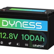 Batería LiFePO4 Dyness AR1.2 de 12 Vy 100 Ah con protección contra baja temperatura - Img 57848825