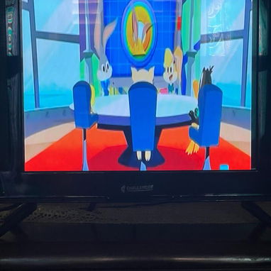 19" TV  FUNCIONA TAMBIÉN CON BATERÍA. 50150948 - 5/5