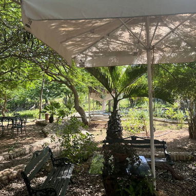 Hospedaje y Excursión a la vez en una auténtica finca campesina: Experiencia Rural en la finca "La Lima", Trinidad - Img 99723964