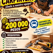 Buscamos carpintero - Img 58086635