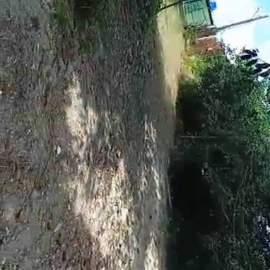 Alquiler de finca en Marianao - 7/10