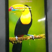 Vendo un teléfono móvil Samsung F13 nuevo - Img 45668931