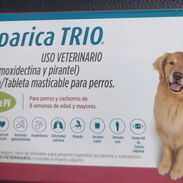 Simparica trío 20-40 kg - Img 56356860