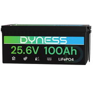 Batería LiFePO4 24V 100Ah (2560Wh) Dyness con BMS 100A - Img 56787566