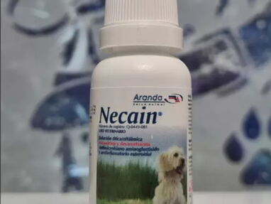 Necain. Neomicina y Dexametasona. (Colirio) para perros y gatos - Img main-image-45137386