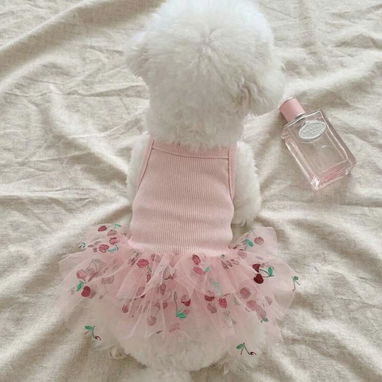 Ropa para perros - 4/10