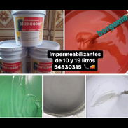 Se venden pinturas del hogar , para decorar y embellecer su local vinil ,impermeabilizantes,esmaltes y más garantizadas - Img 56215780