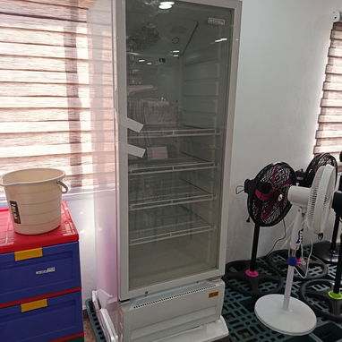 Exhibidor Royal de 12.5 pie - Img 114955822
