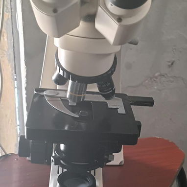 Microscopio - 2/2
